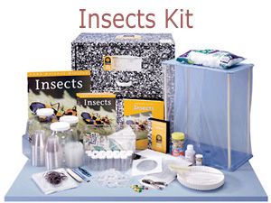 Foss Insects & Plants - Kit